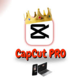 CapCut Pro на 1 год (Своя почта) Полная гарантия