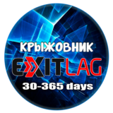 Аккаунт только ВАШ! ExitLag 1/3/6/12 месяцев + Email