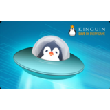 Kinguin Gift Card USA 10 USD