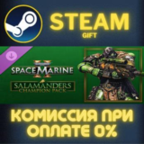 Warhammer 40000 Space Marine 2 Salamanders Champion Pac