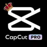 Гарантия на личный аккаунт CapCut Pro 1/12 месяцев