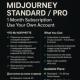 Midjourney Standard / Pro – 1 Month Subscription