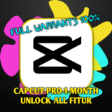 CAPCUT ПРО 1 МЕСЯЦ ЧАСТНАЯ ПОЛНАЯ ГАРАНТИЯ