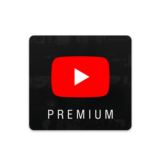 Подписка на премиум-аккаунт YouTube на 12 месяцев