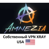 Amnesia VPN собственный сервер VPN XRAY VLESS США 1 мес