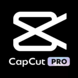 ПОДПИСКА CAPCUT PRO НА 1 МЕСЯЦ ЛИЧНЫЙ АККАУНТ