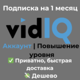 vidIQ | Boost на 1 месяц