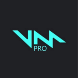 VOICEMOD PRO на 1 год  (Лицензионный ключ)