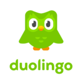 Duolingo Super | 1/3/6/12 месяцев | Подписка на ваш