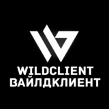 ПОДПИСКА // WILD CLIENT // REBORN