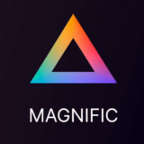 Magnific AI: Pro / Premium / Enterprise |1 - 12 месяцев