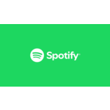 Подписка Spotify Premium на 3/6/12 месяцев