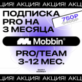 MOBBIN PRO/TEAM ПОДПИСКА 1-12М. НА ВАШ АККАУНТ