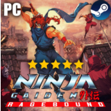 ・NINJA GAIDEN: RAGEBOUND (2025)・STEAM АККАУНТ・