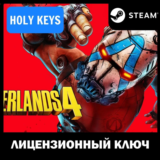 BORDERLANDS 4 STEAM КЛЮЧ +Бонус Предзаказа