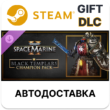Warhammer 40,000 Space Marine 2 Black Templars Champ