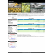 Template for HYIP Manager Pro