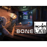 Bonelab VR Oculus Meta Quest 2/3/Pro Key