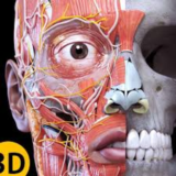 Anatomy 3D Atlas PRO iPhone ios AppStore iPad