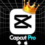 Capcut PRO 👑 ЧАСТНЫЙ Счет 30 ДНЕЙ