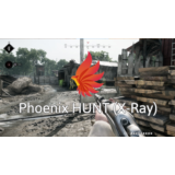 Phoenix HUNT (X-Ray)