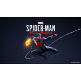 Spider-Man: Miles Morales | Steam Offline Account