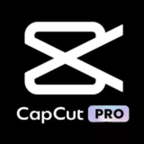 Личный аккаунт Capcut Pro на 1 месяц