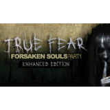 True Fear: Forsaken Souls Part 1 🔥 ПК Код 🖥️ GOG 🌟