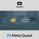 Anatomy of a Chicken Oculus Quest