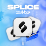 Splice Sounds+ [3 МЕСЯЦА] 300 Кредитов