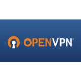 OPENVPN (90 ДНЕЙ) GLOBAL (АВТОДОСТАВКА) (OPENVPN)