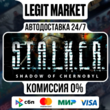 S.T.A.L.K.E.R.: SoC Enchanted / Steam АВТО / РУ + МИР