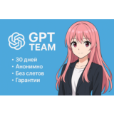 ChatGPT Team 1 месяц. Приглашение по почте БЕЗ ВХОДА