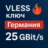 VLESS  Германия Приватный сервер