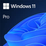 Microsoft Windows 11 Pro (ESD ключ) Все регионы