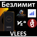 AMNEZIA V2RAYTUN HIDDYFY 1-3-6 МЕСЯЦЕВ