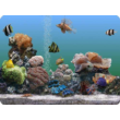 Marine Aquarium
