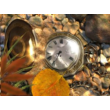 Gold watch under water