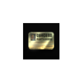 2x30 Day Pilots License Extension (PLEX)