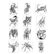Insects