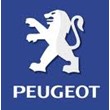 Maintenance Car Peugeot