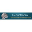 SlonoProgon.ru - refill for 398 rubles. (2 sites)