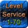 Diablo 3 Speed Leveling 1-70 (sc and hc), seasons