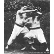 Combat Karate Motobu Ryu