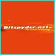 Bitspyder.net: Account with buffer