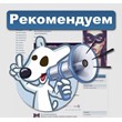 Buy huskies Vkontakte for photos, post, or avatars