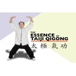 Basics of Taiji Qigong
