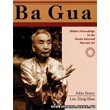 Bagua - the mystical martial art