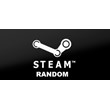 Random Steam Key (Region Free) + Present