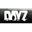DayZ / Steam 🔴 NO COMMISSION